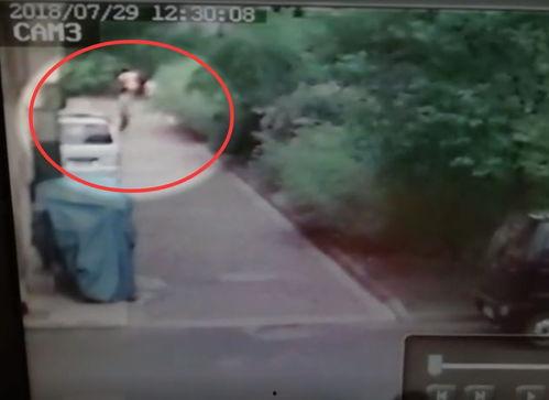 石家庄女子深山爆料视频,揭秘石家庄神秘事件真相